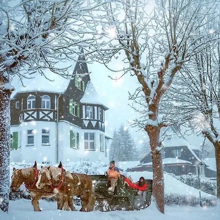 Waldfrieden Kurort Bärenburg