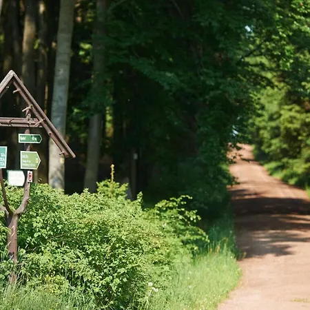Waldfrieden Kurort Bärenburg
