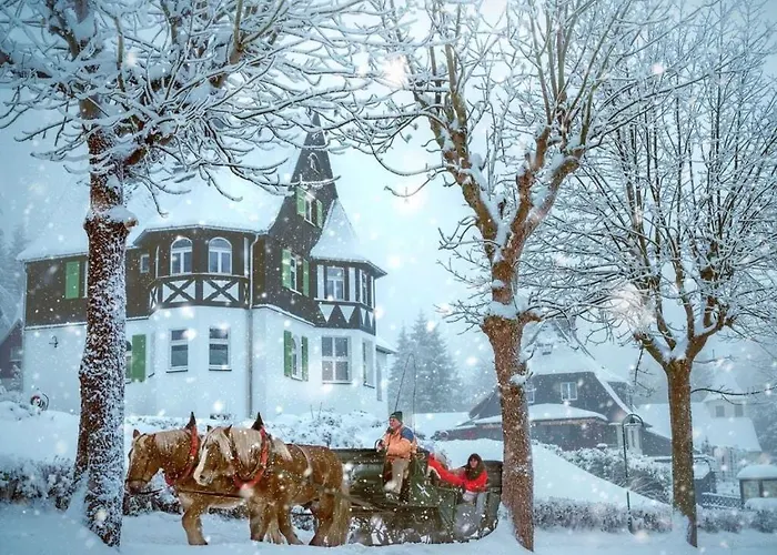 Waldfrieden Kurort Bärenburg