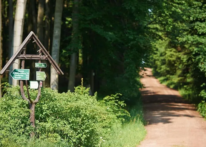 Waldfrieden Kurort Bärenburg